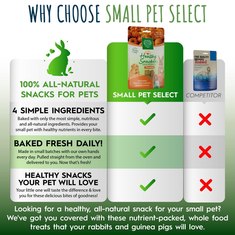 Small Pet Select - Healthy Snackers - Pumpkin - Image 4